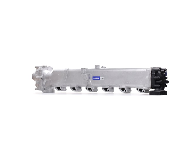 OEM 51081007136 RIDEX REMAN Modulo EGR 4198E0014R per MAN