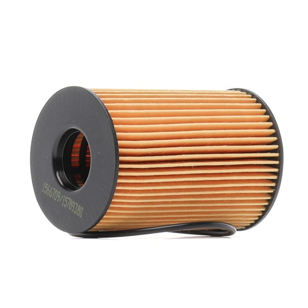 OEM 11427580676 RIDEX  Ölfilter 7O0273 für BMW