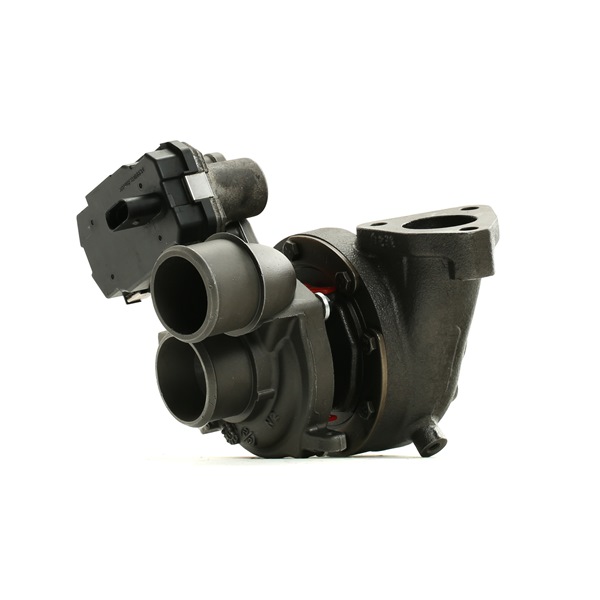 Turbo RIDEX REMAN 2234C10066R