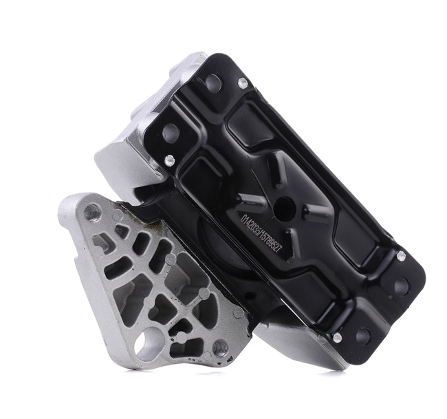 TRANSIT CUSTOM Motorfeste SKEM-0660491 STARK
