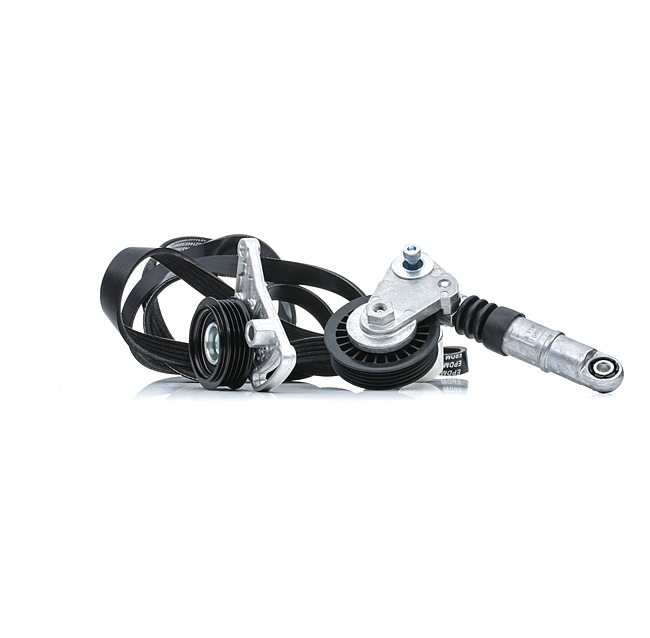 RIDEX Keilrippenriemensatz (542R0542) für AUDI A4 Limousine (8E2, B6) 1.9 TDI (96 KW / 130 PS / ab 2000)