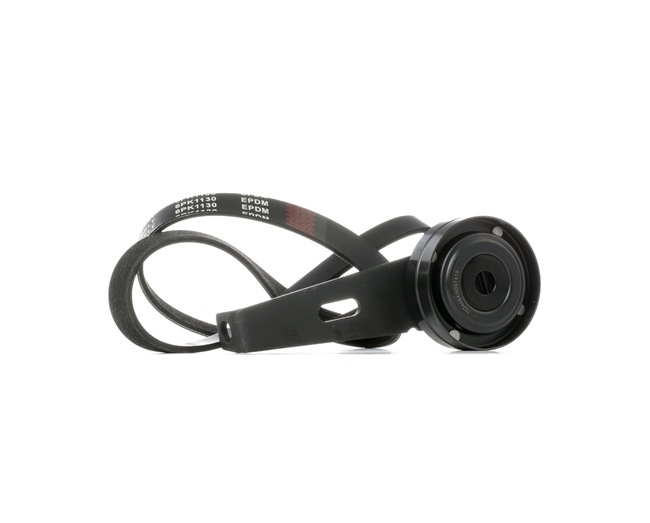 OEM 5750TK RIDEX  Keilrippenriemensatz 542R0544 für VW, PEUGEOT, CITROЁN, DS