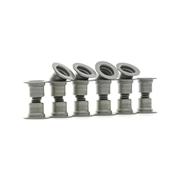 STARK Jeu de joints d'étanchéité, tige de soupape (SKSSV-4070016) pour FORD C-Max (DM2) 2.0 LPG (107 KW / 145 CH / de 2008)