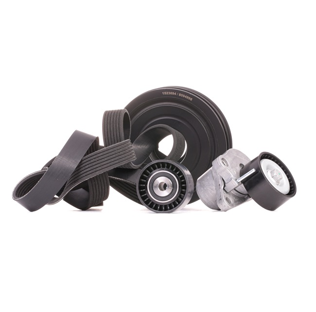 RIDEX Jeu de courroies trapézoïdales à nervures (542R0546) pour RENAULT Laguna III 5 portes (BT, BT0/1) 2.0 dCi (BT0M, BT0N, BT0S, BT19, BT1F) (127 KW / 173 CH / de 2008)