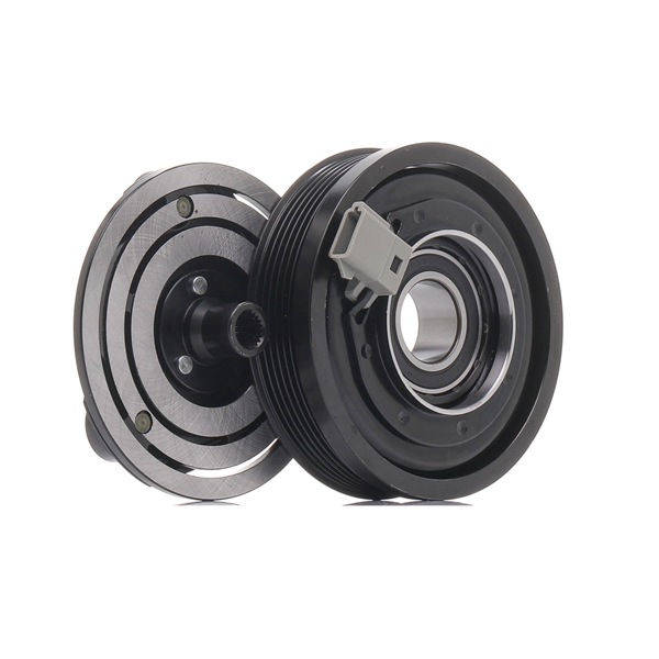 OEM 96BW19D629BA RIDEX  Magnetkupplung, Klimakompressor 1236M0037 für FORD, MAZDA, VOLVO, JAGUAR, FORD USA