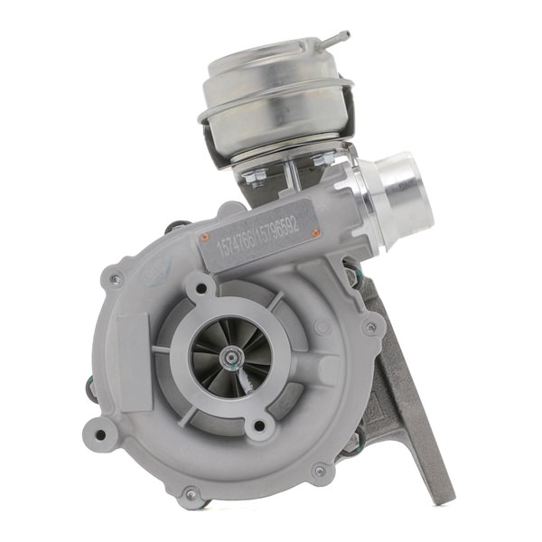 Turbocharger (2234C10121) van RIDEX Voor RENAULT MASTER III Open laadbak/ Chassis (EV, HV, UV) 2.3 dCi 125 RWD (HV0C, HV0D, UV0C, UV0D, UV0H, UV0J,... (92 KW / 125 PK / Van 2010)