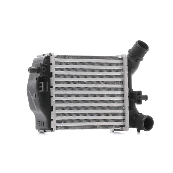 OEM 51819186 RIDEX Välijäähdytin 468I0154 varten VOLVO, FIAT, CHRYSLER, ALFA ROMEO, LANCIA