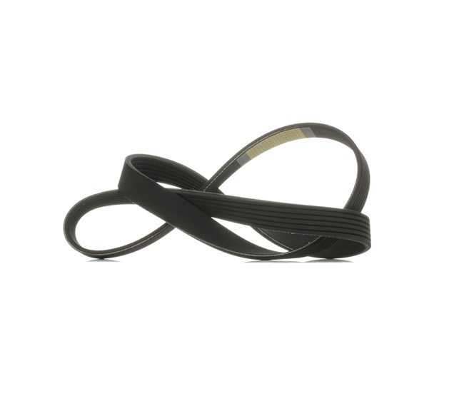 RIDEX Cinghia servizi (305P0476) per FORD C-Max II (DXA/CB7, DXA/CEU) 1.6 Ti (88 KW / 120 CV / dal 2012)