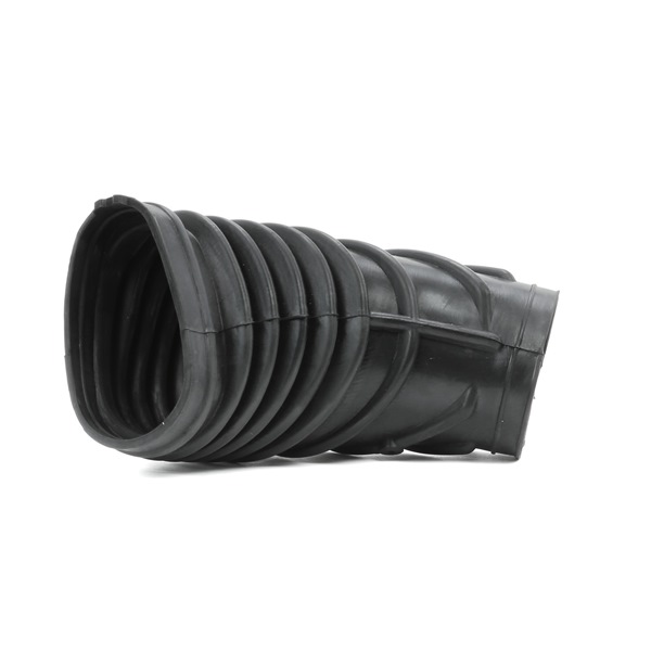 OEM 1247031 RIDEX Imuputki, ilmansuodatin 1591I0042 varten BMW, MINI