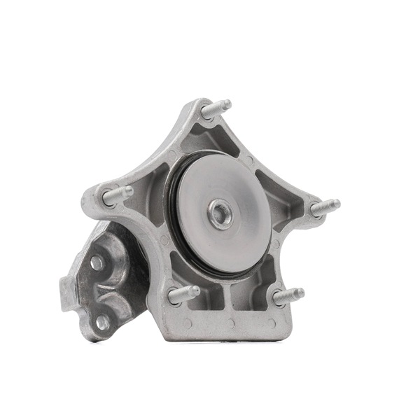 OEM A2042400618 RIDEX Supporto, Cambio 249M0014 per MERCEDES-BENZ