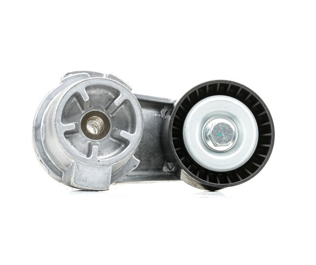 Spanrol, poly V-riem (310T0377) van RIDEX Voor BMW 5 Sedan (F10) 535 i xDrive (240 KW / 326 PK / Van 2013)