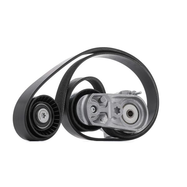 Poly V-riem set (542R0556) van RIDEX Voor BMW 5 Sedan (F10) 535 i (225 KW / 306 PK / Van 2010)