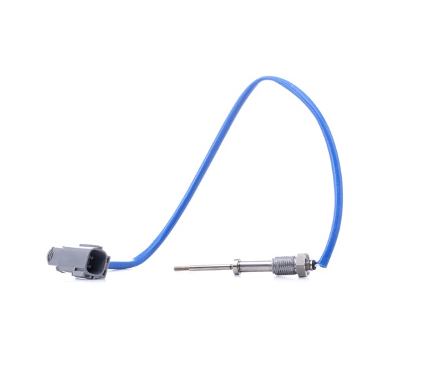 FORD Focus Mk1 Hatchback (DAW, DBW) RS Sensor, temp. gas escape 3938E0165
