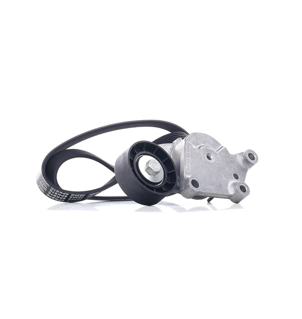 DAYCO Cinghia servizi KPV408
