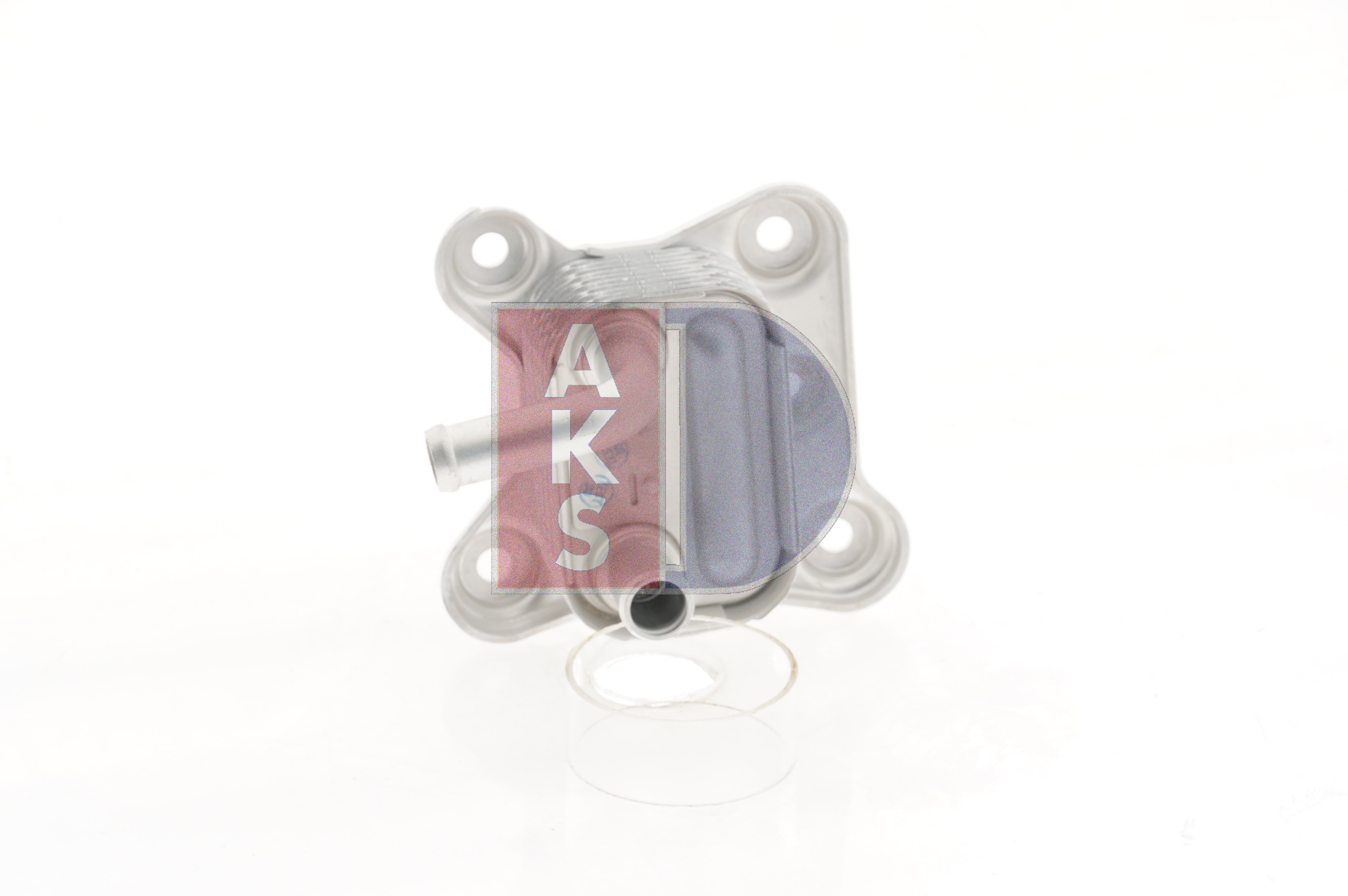 AKS DASIS Radiateur d'huile (096029N) pour FORD Focus Mk1 Break (DNW) 1.8 TDCi (74 KW / 100 CH / de 2002)