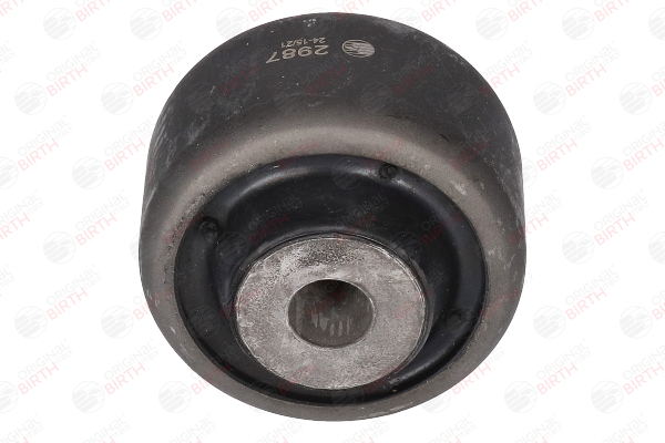 buy Trailing arm / Suspension arm bush - BIRTH (2987)