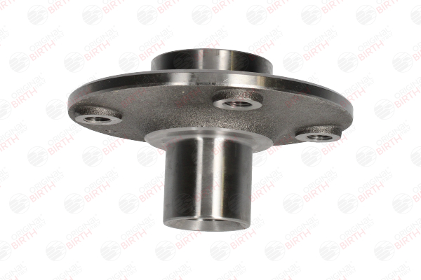 comprare Mozzo ruota - BIRTH (3621)