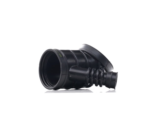 OEM 13541437191 RAPRO Hose, air supply R19226 for BMW