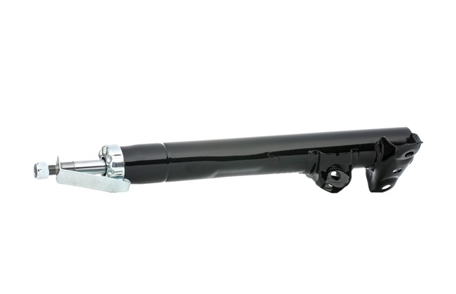 OEM 1243203330 DACO Germany Stötdämpare 453301 för MERCEDES-BENZ