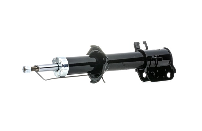 Stoßdämpfer DACO Germany 455220L