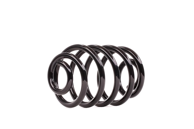 DACO Germany Fjeder 813001 for RENAULT