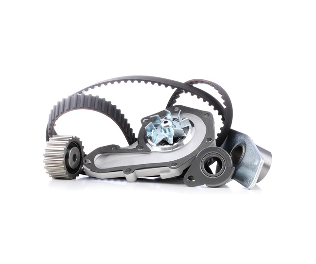 STARK Kit de distribution + pompe à eau (SKWPT-0750343) pour RENAULT Kangoo I Express (FC, FC0/1) 1.9 D (FC0J) (48 KW / 65 CH / de 1999)
