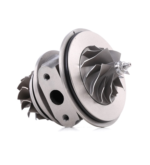 OEM 500372214 RIDEX Turbo patroon 4973C0080 voor OPEL, RENAULT, PEUGEOT, FIAT, NISSAN