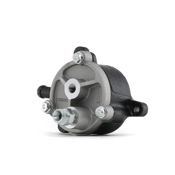 Vacuümpomp rembekrachtiger (387V0084) van RIDEX Voor FORD Transit Mk4 Flatbed Vrachtwagen/Chassis (VE83) 2.5 TD (EME/L/S, ENE/L/S) (74 KW / 101 PK / Van 1994)
