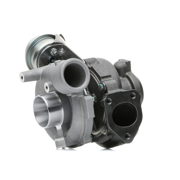 Turbocharger (SKCT-1190673) van STARK Voor RENAULT MODUS / GRAND MODUS (F/JP0_) 1.2 (JP0C, JP0K, FP0C, FP0K, FP0P, JP0P, JP0T) (55 KW / 75 PK / Van 2004)