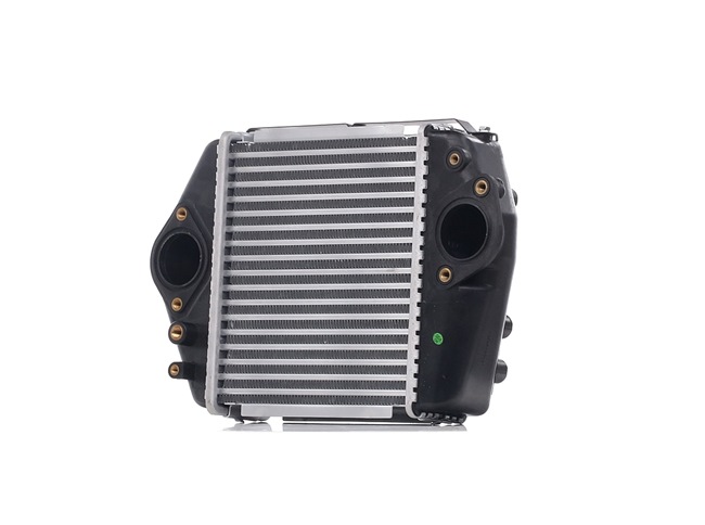 OEM RF8G13565B RIDEX Välijäähdytin 468I0161 varten MAZDA
