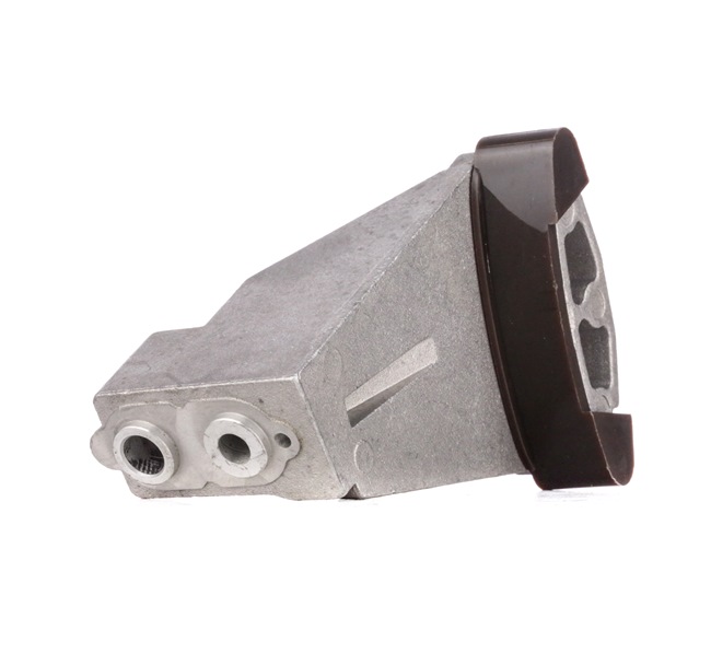 OEM 11317504475 RIDEX Ohjauskisko, jakoketju 1075T0015 varten BMW, MINI