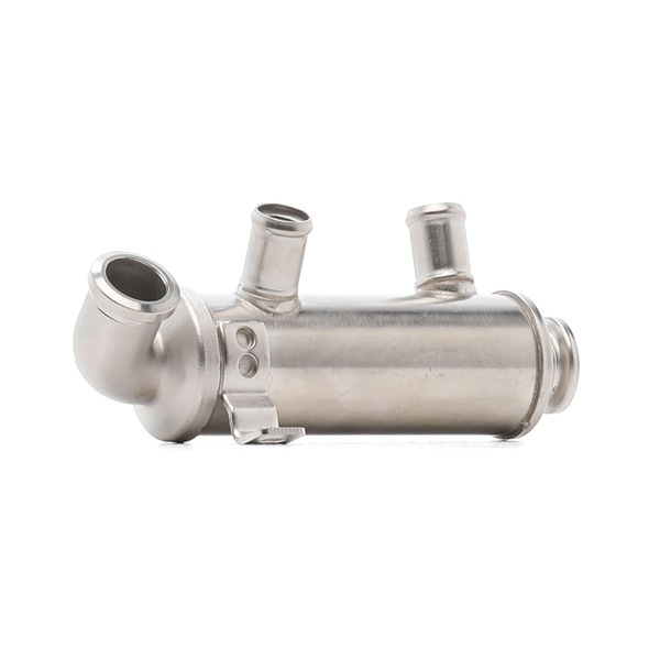 OEM 2S6Q9F464AB RIDEX EGR-moduuli 4198E0036 varten FORD, CITROЁN, FORD USA