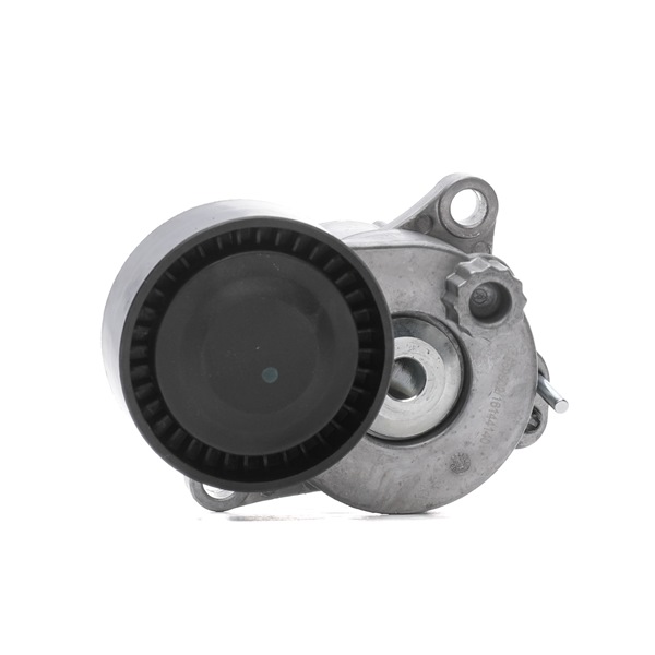 RIDEX Rolo tensor, correia trapezoidal estriada (310T0393) para MERCEDES-BENZ Classe C Sedan (W204) C 250 CDI (204.003) (150 KW / 204 CV / de 2008)