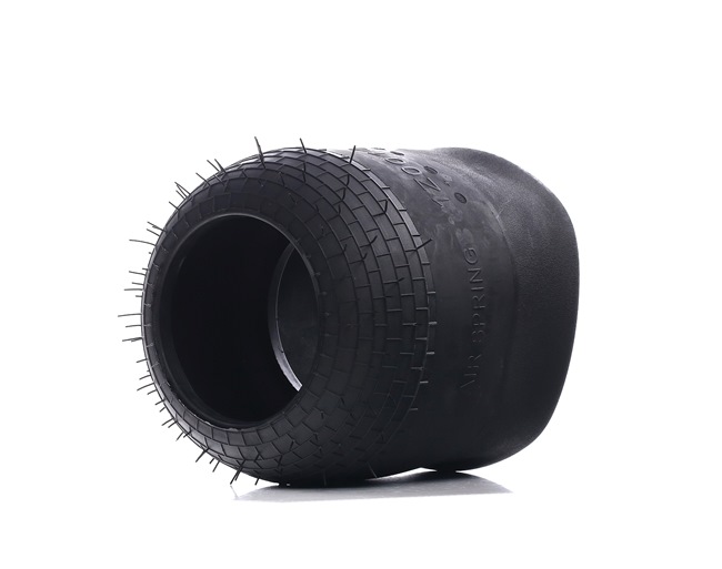 OEM A0003270101 RIDEX Ilmajousi 4119A0059 varten MERCEDES-BENZ