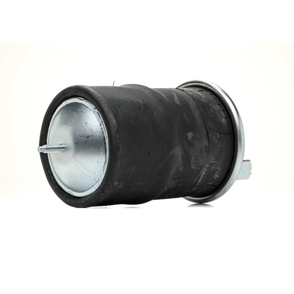 OEM 20374510 RIDEX  Luftfeder, Fahrwerk 4119A0060 für VOLVO
