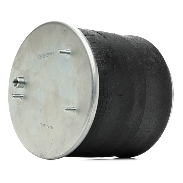 OEM 1529833 RIDEX Ilmajousi 4119A0068 varten DAF