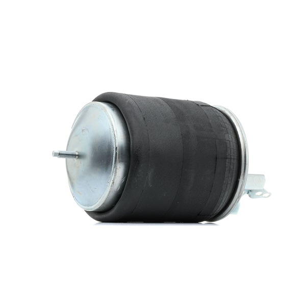 OEM 20456150 RIDEX  Luftfeder, Fahrwerk 4119A0069 für VOLVO