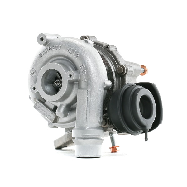 Turbocharger (2234C10273R) van RIDEX REMAN Voor RENAULT Megane III Hatchback (BZ0/1_) 2.0 dCi (BZ0Y) (110 KW / 150 PK / Van 2010)