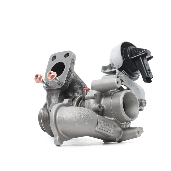 ostaa Turboahdin - RIDEX REMAN (2234C10290R)