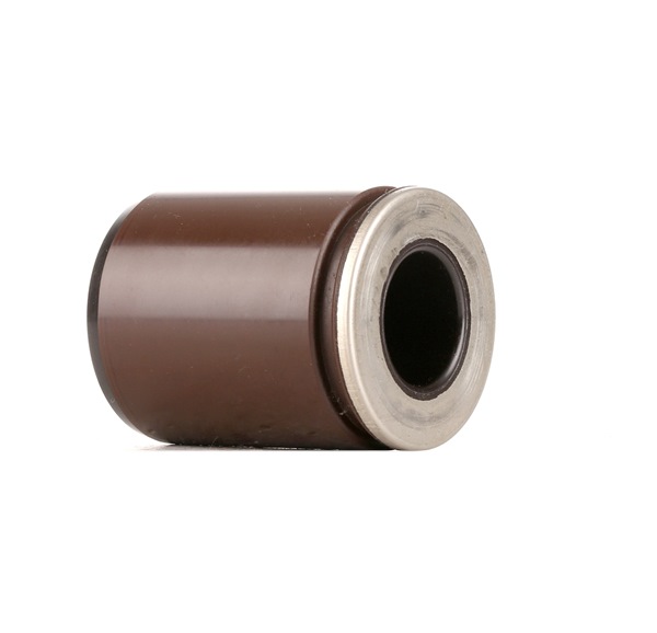 RIDEX Piston, étrier de frein (2248P0042) pour CHRYSLER 300 C Berline (LX, LE) 5.7 (265 KW / 360 CH / de 2009)