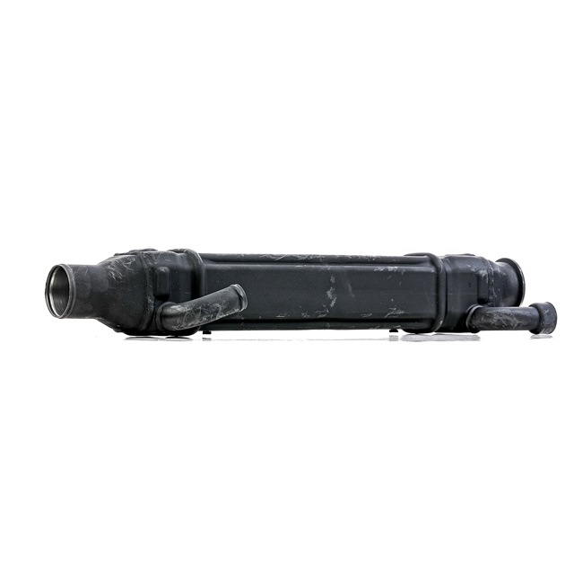 OEM 2074600 RIDEX REMAN Modulo EGR 4198E0055R per