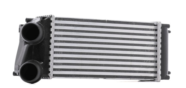 OEM 0384H5 RIDEX Välijäähdytin 468I0219 varten VOLVO, FORD, PEUGEOT, CITROЁN, DS