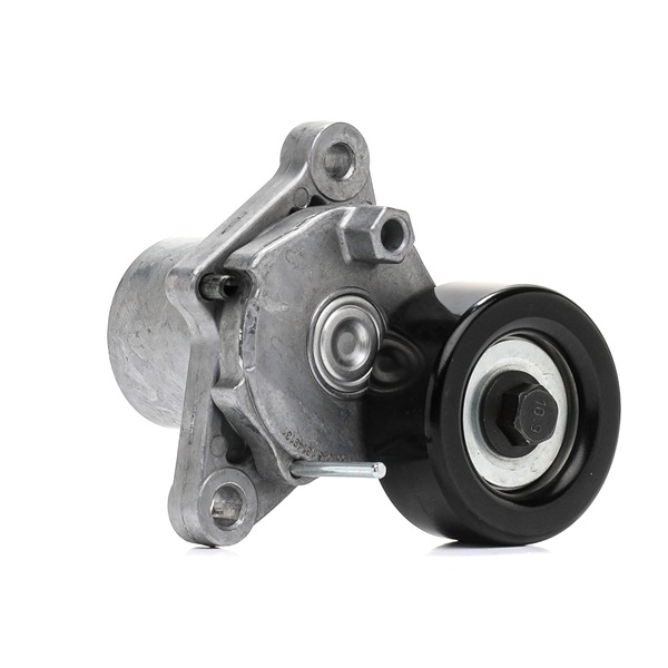 RIDEX Spannrolle, Keilrippenriemen (310T0401) in erstklassiger Qualität für HYUNDAI i20 (PB, PBT) 1.1 CRDi (55 KW / 75 PS / de 2012)