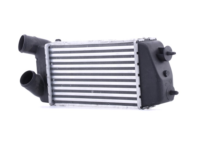 OEM 0384G2 STARK Välijäähdytin SKICC-0890350 varten VOLVO, FORD, PEUGEOT, CITROЁN, DS
