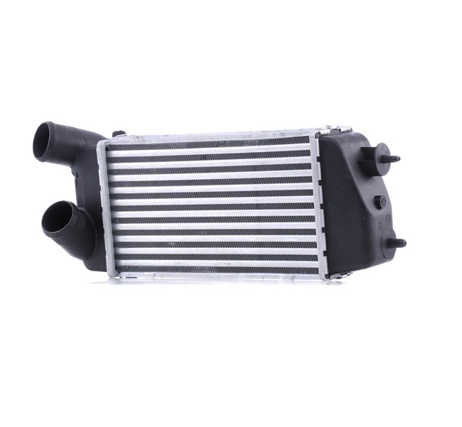 OEM 0384G2 RIDEX Välijäähdytin 468I0235 varten VOLVO, FORD, PEUGEOT, CITROЁN, DS