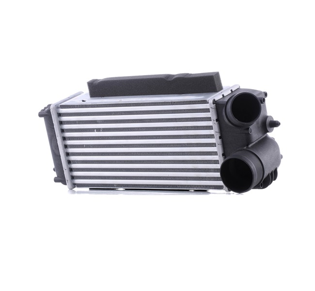 OEM 1534670 RIDEX Välijäähdytin 468I0255 varten VOLVO, FORD
