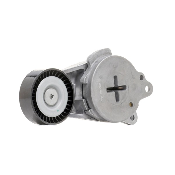 OEM 166200N010 RIDEX Kiristysrulla, moniurahihna 310T0404 varten TOYOTA, SUBARU, WIESMANN