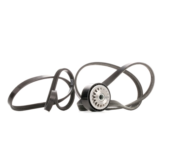 Poly V-riem set (SKRBS-1200582) van STARK Voor RENAULT CLIO II (BB0/1/2_, CB0/1/2_) 1.0 (40 KW / 54 PK / Van 2000)