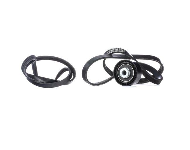 RIDEX Jeu de courroies trapézoïdales à nervures (542R0583) pour RENAULT Kangoo I Express (FC, FC0/1) 1.2 (FC01, FC0A, FC0F) (43 KW / 58 CH / de 1997)