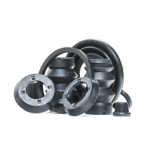 RIDEX Kit di revisione della pinza freno (405R0341) per JAGUAR X-Type Sedan (X400) 2.0 D (96 KW / 130 CV / dal 2003)